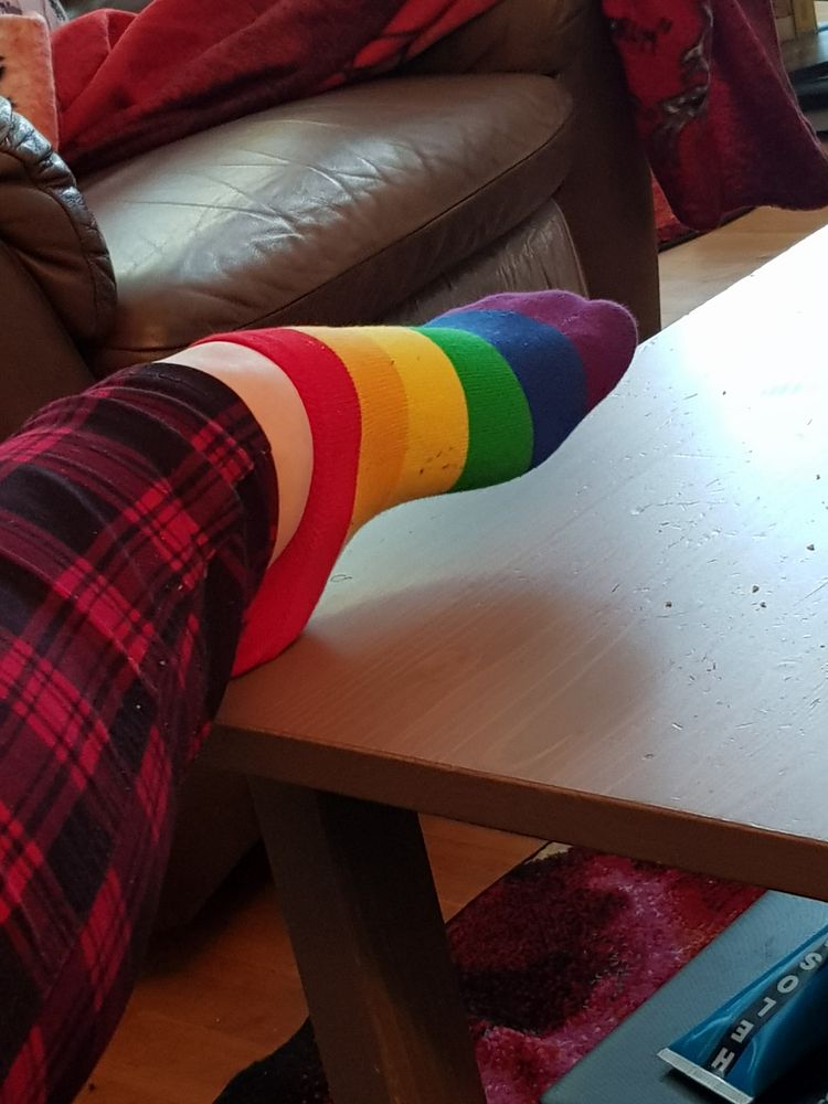 Ankelstrumpor Pride