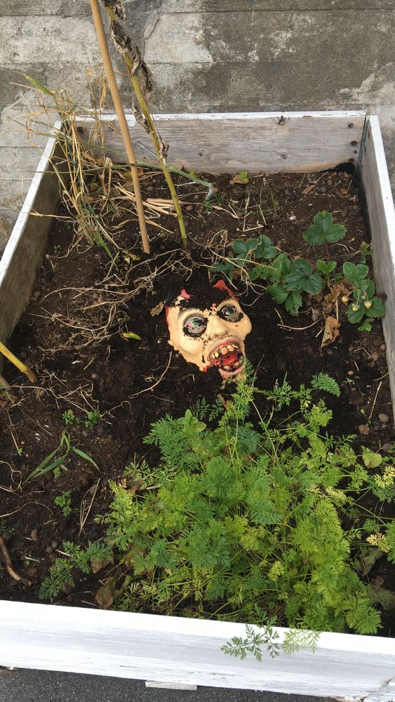 Silvotut Kasvot Lihashaavoilla