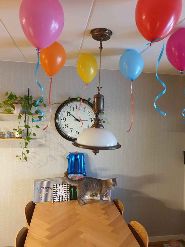 Ballonger Flerfargede