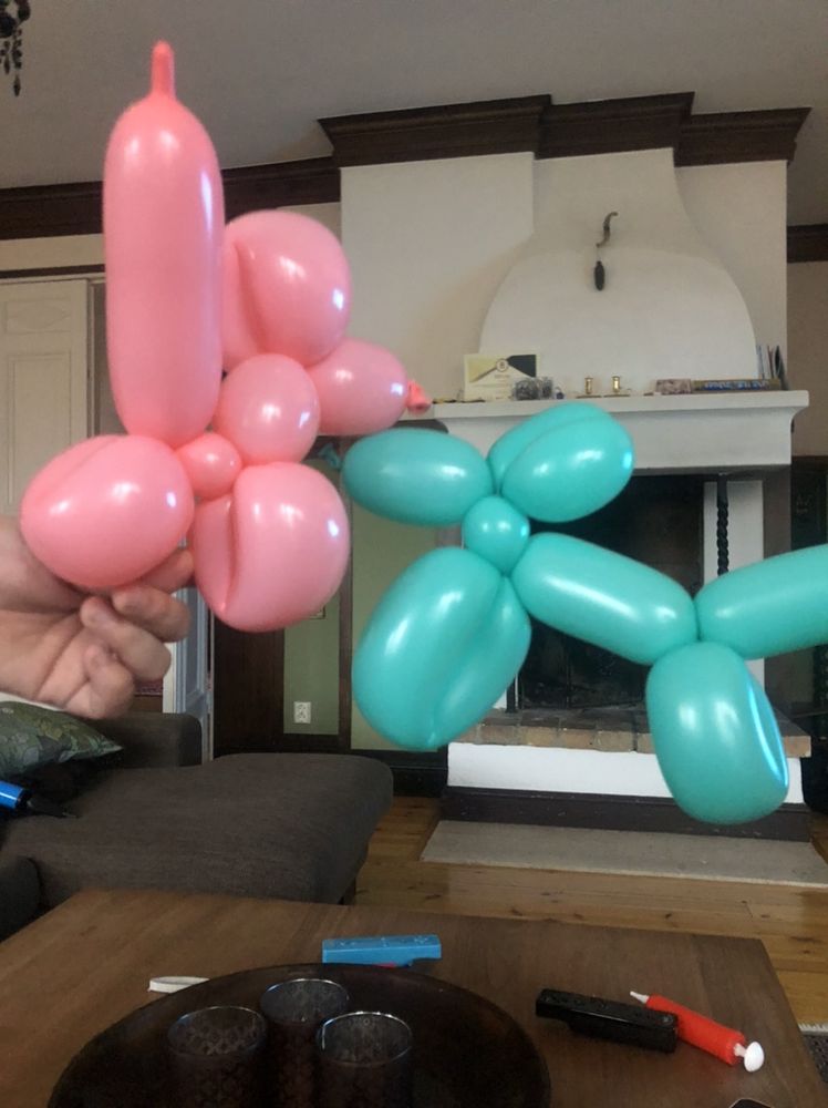 Muotoiltavat ilmapallot Ja Pumppu
