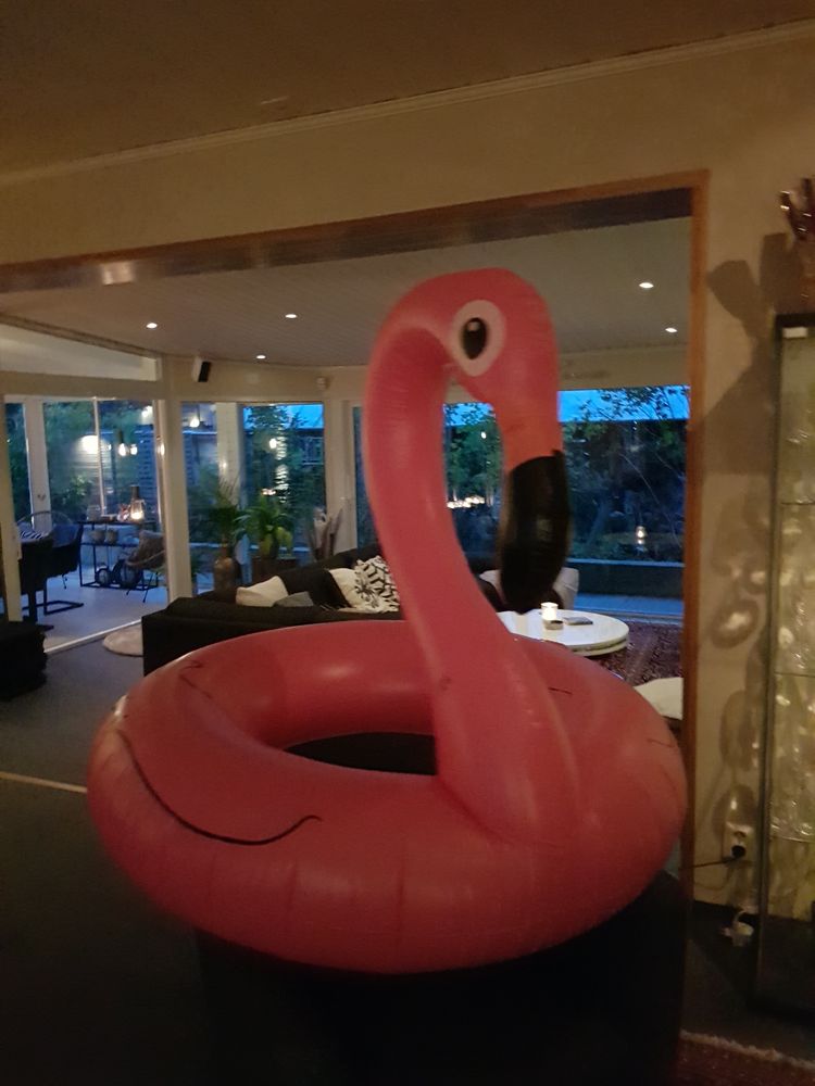Flamingo Badering