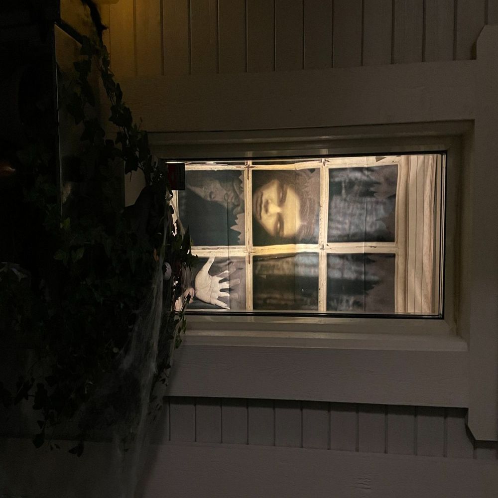 Vindusdekorasjon Kvinne
