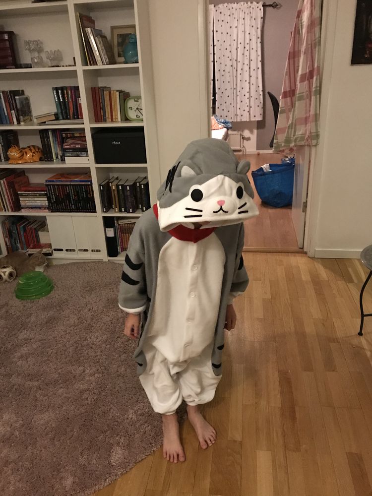 Grå Katt Barn Kigurumi