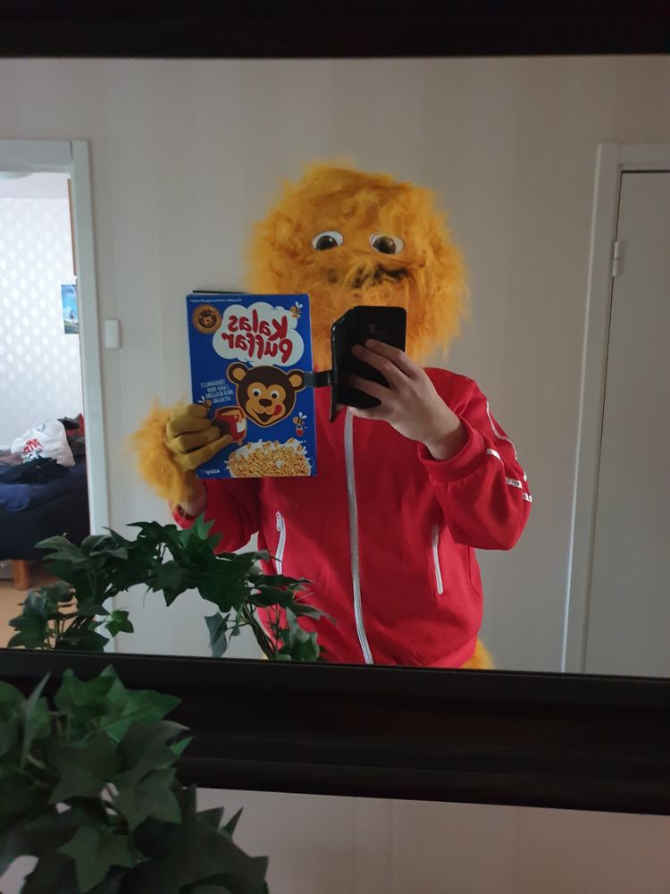 Honungsmonstret Maskeraddräkt