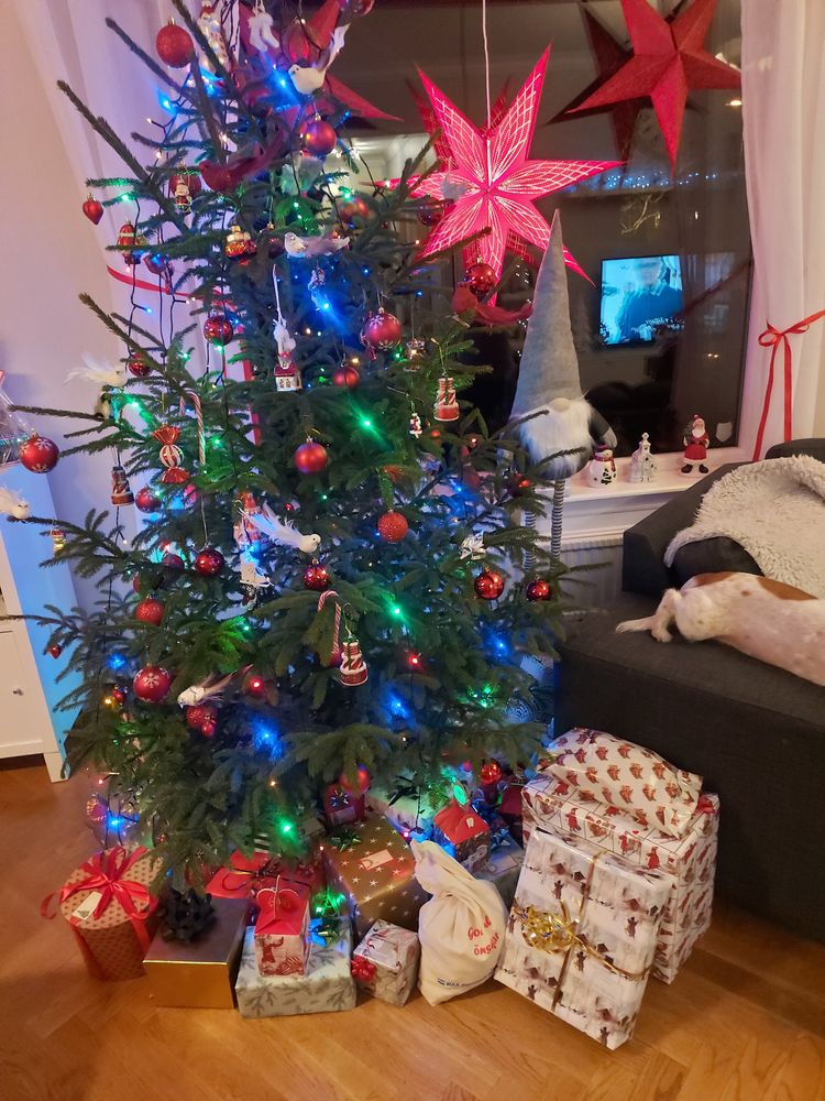 Juletreslynge LED Serie Flerfarget