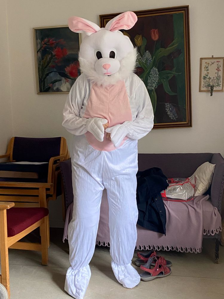 Kaninmaskot Kostume