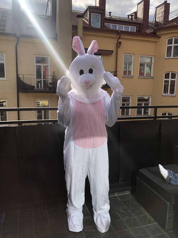 Kaninmaskot Kostume