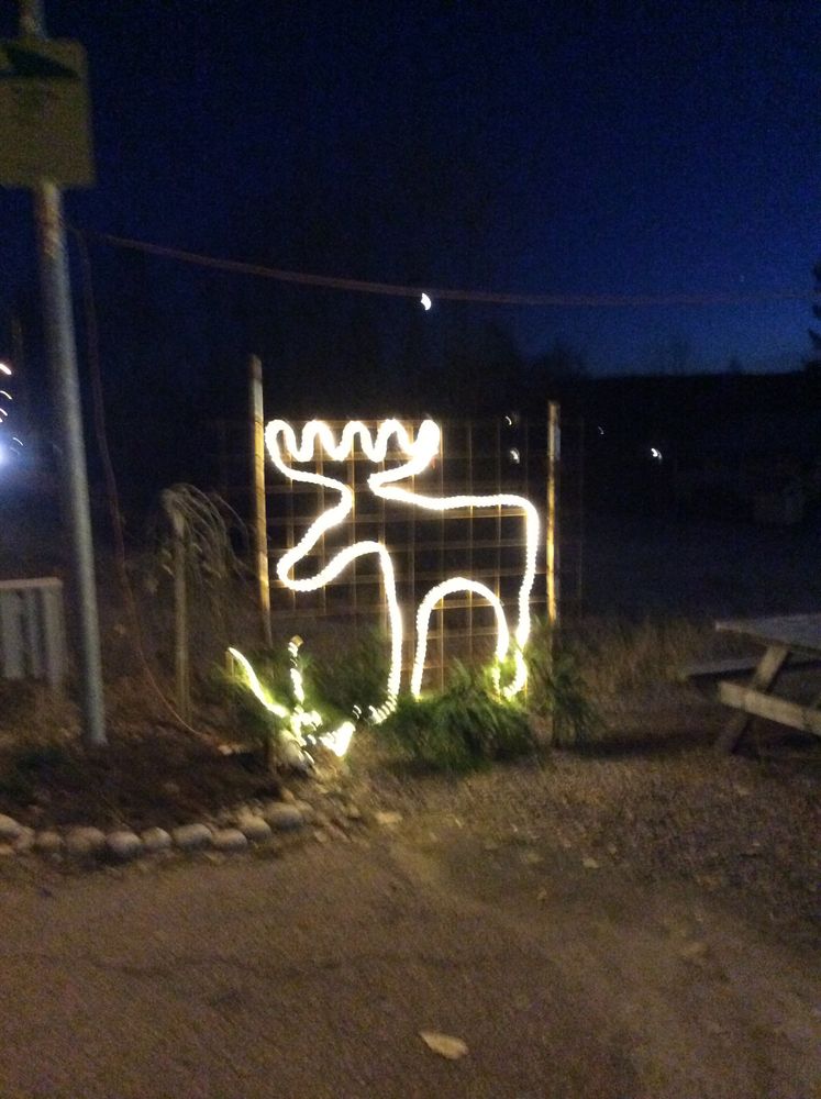 Ljusslang Ropelight LED Varmvit