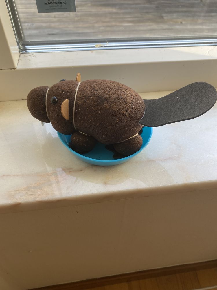 Odla Din Egen Håriga Bäver
