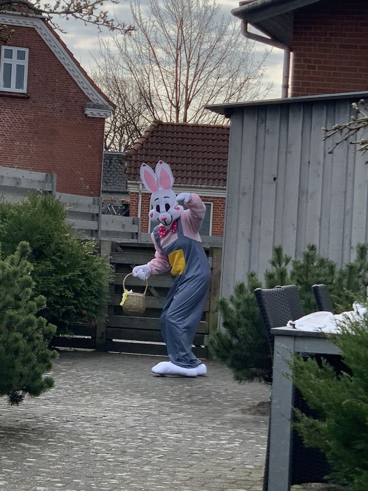 Påskehare Kostyme