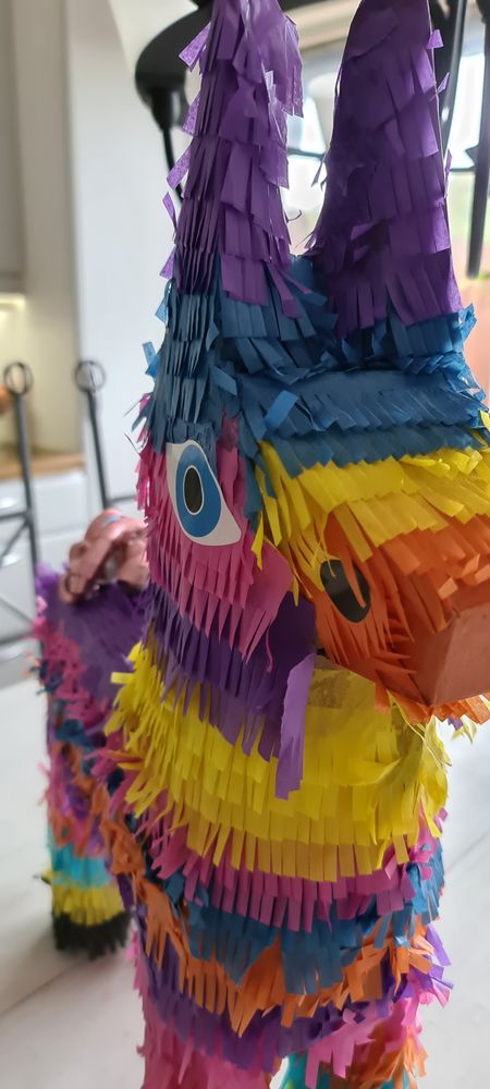 Pinata Esel Fargerik