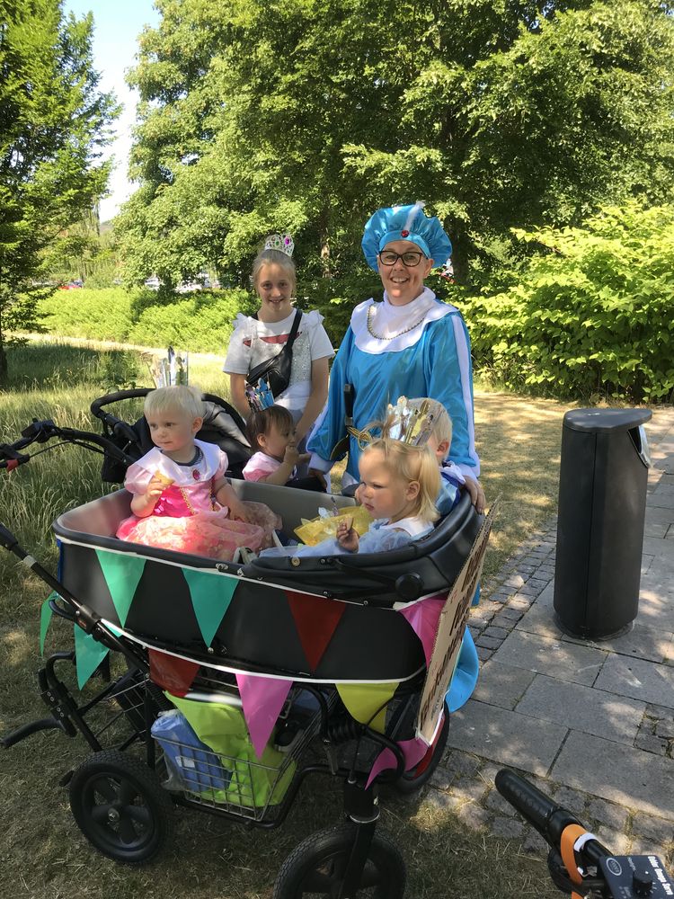 Prinsessekrone Sølv