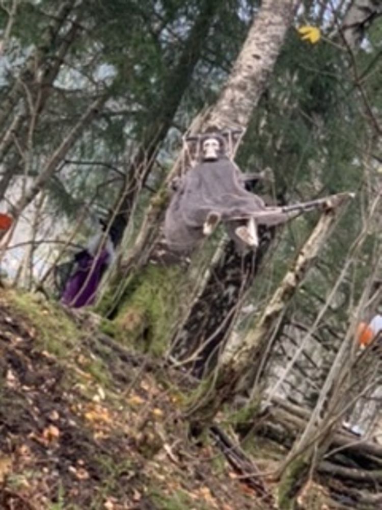 Skelet i Hængekøje Rekvisit