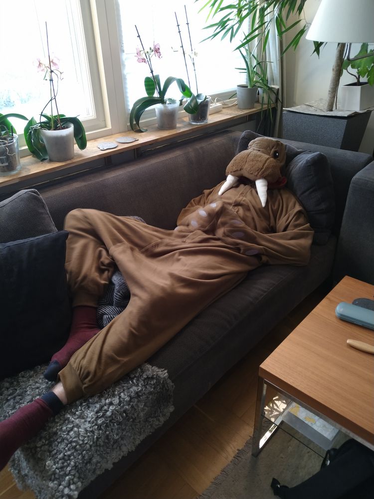 Mursu Kigurumi