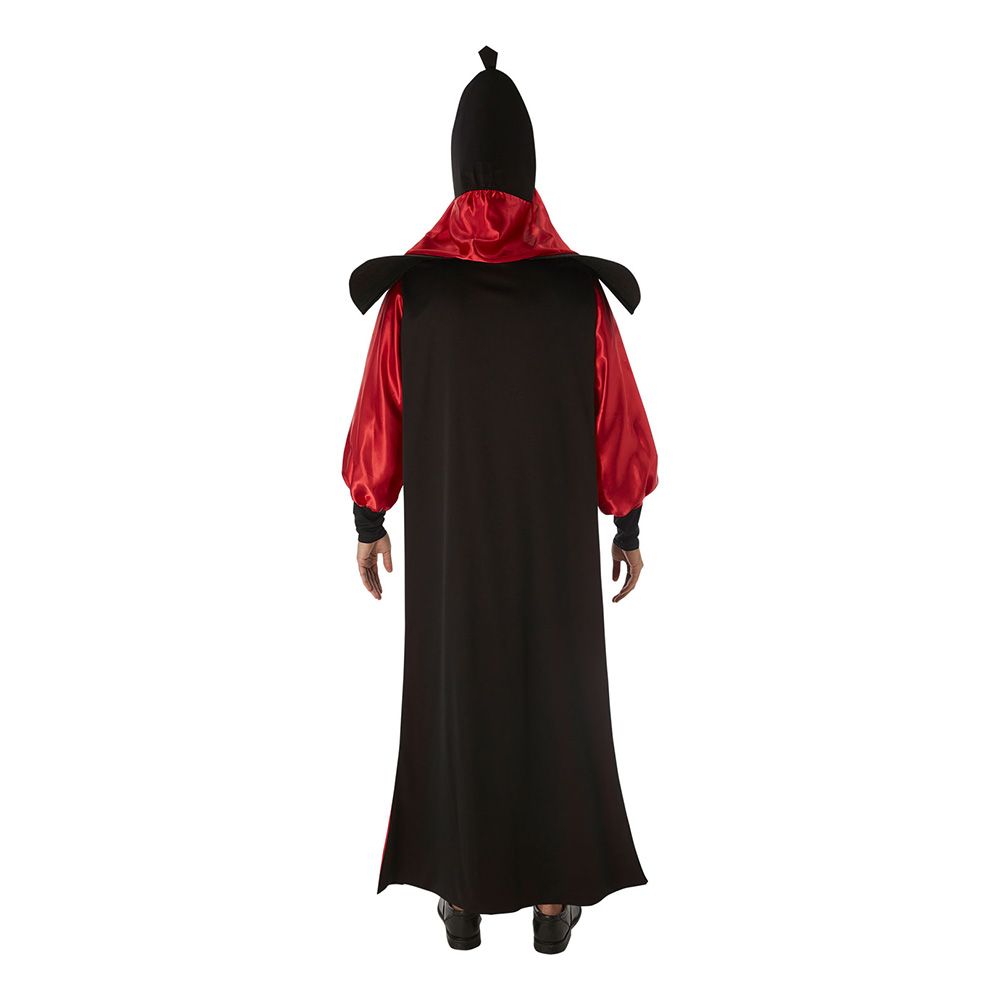 Aladdin Jafar Naamiaisasu