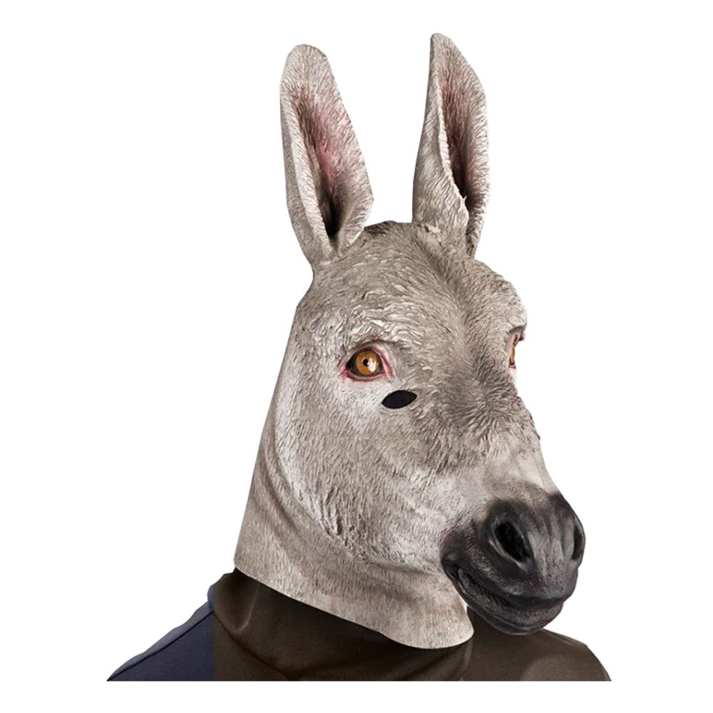 Åsna Latexmask