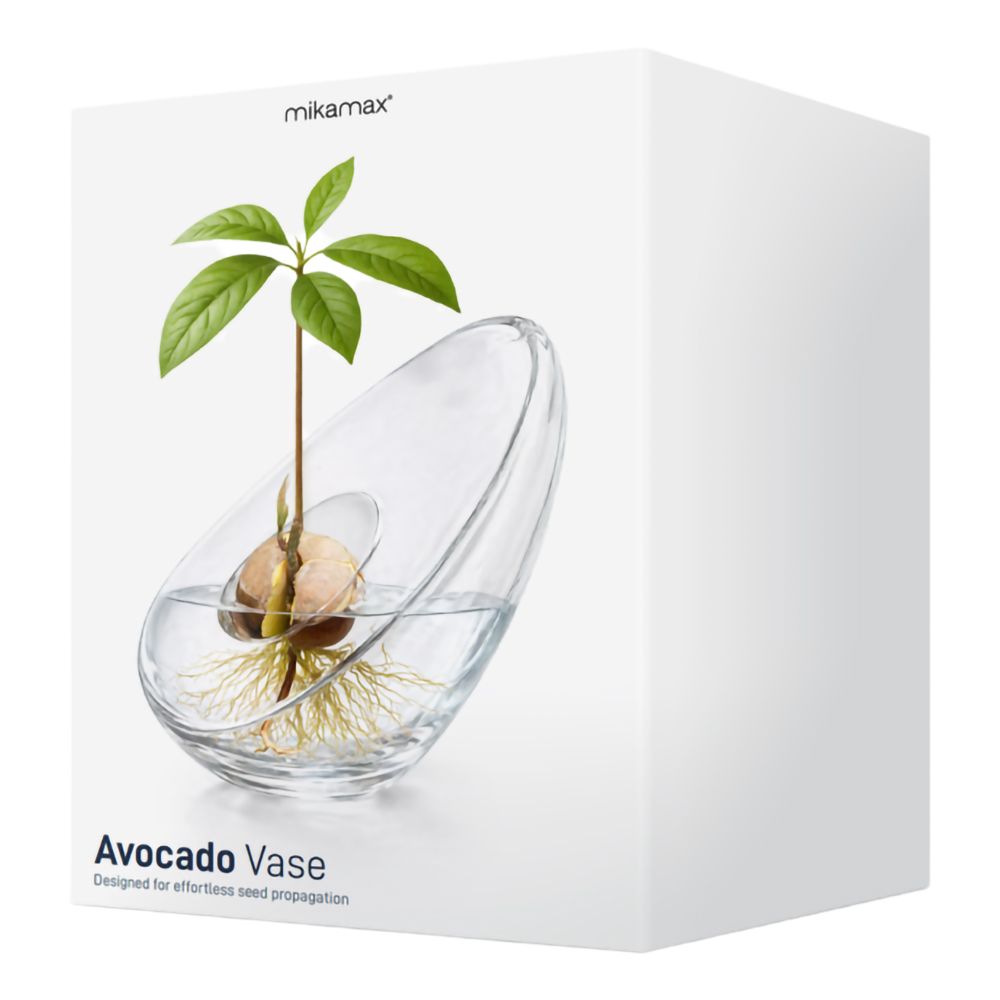 Avokadovas i Glas