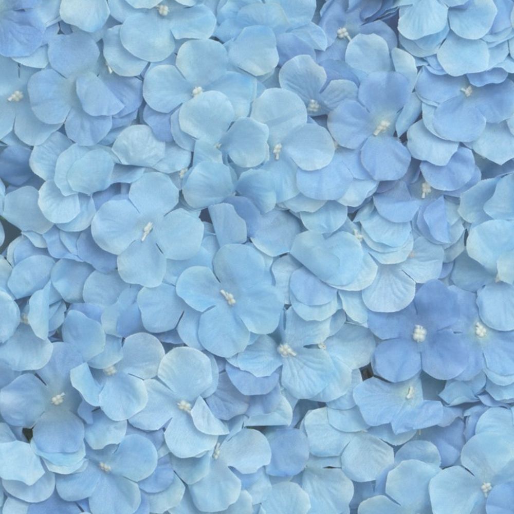 Backdrop Hortensia Blå