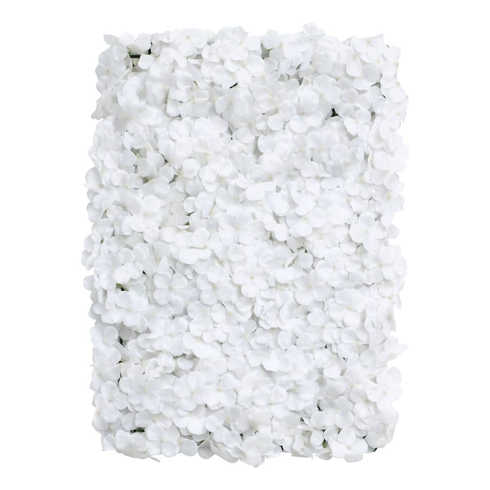 Backdrop Hortensia Hvid