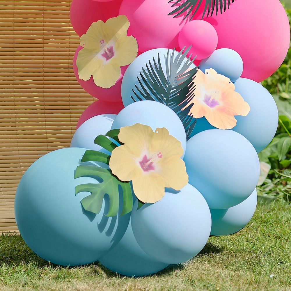 Ballongbue Hawaii