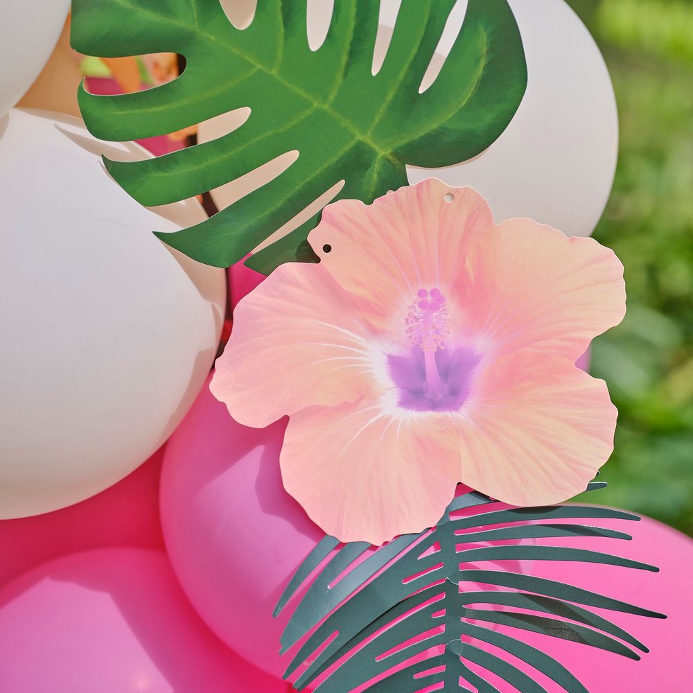 Ballongbue Hawaii