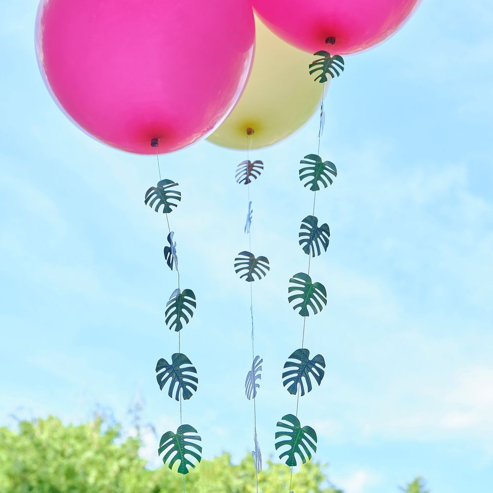 Ballonghaler Hawaii
