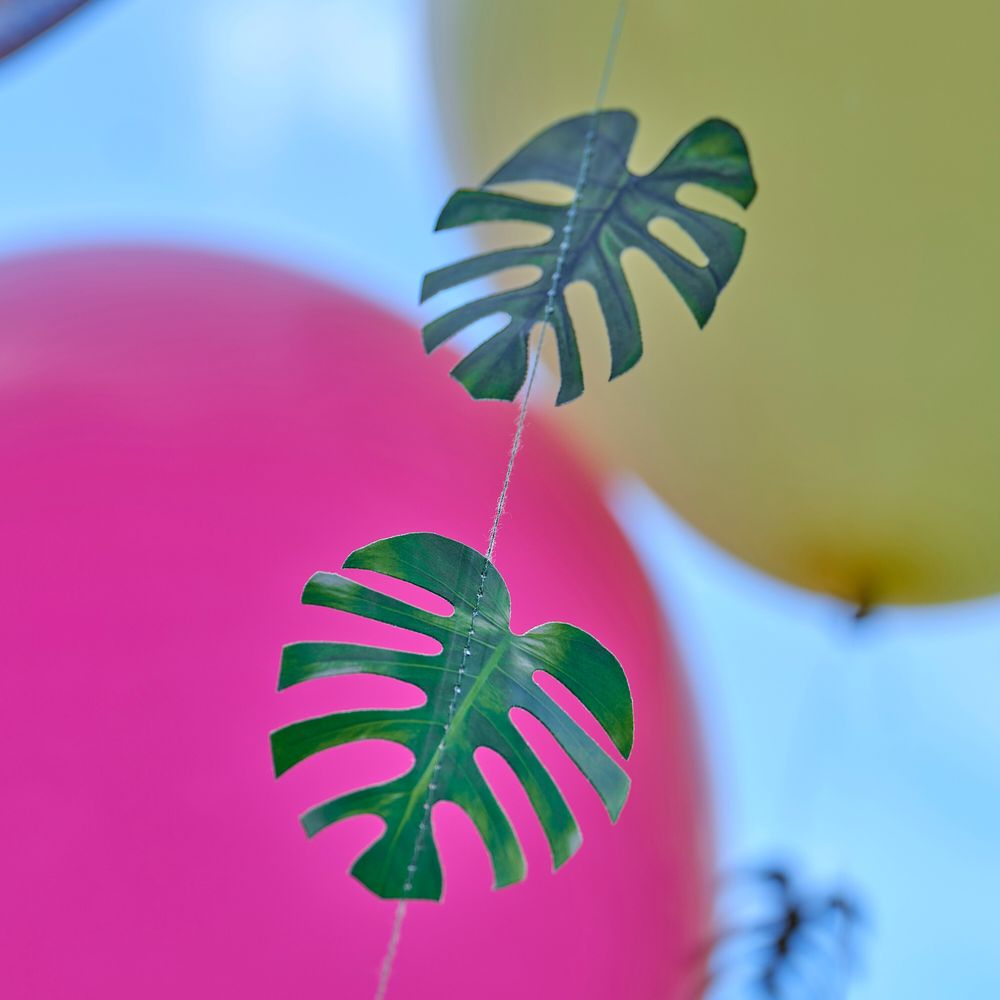 Ballonghaler Hawaii