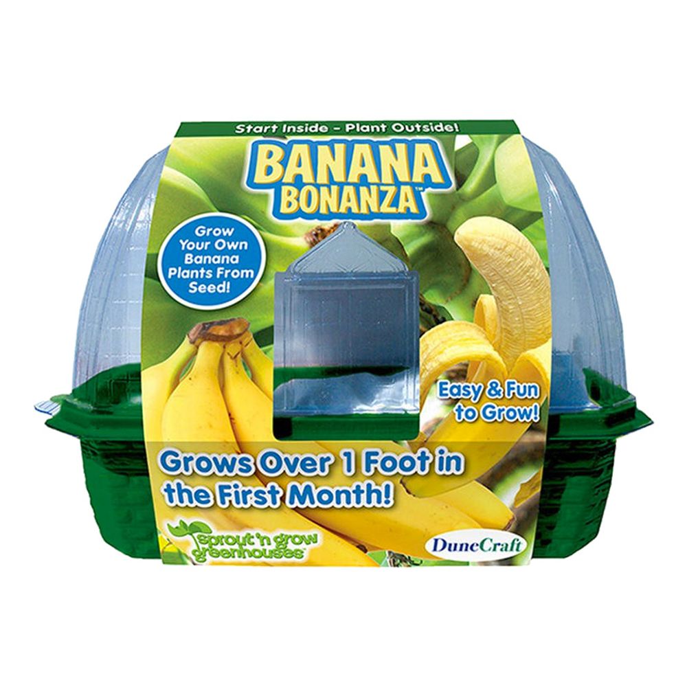 Odla Dina Egna Bananer