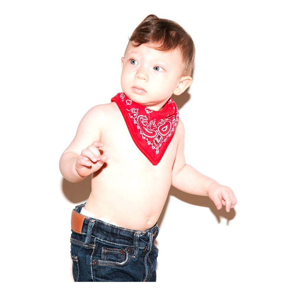 Bandana for Barn
