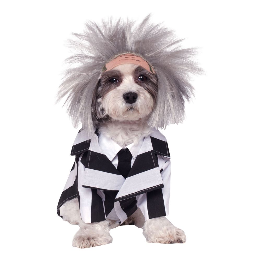 Beetlejuice Hund Kostyme