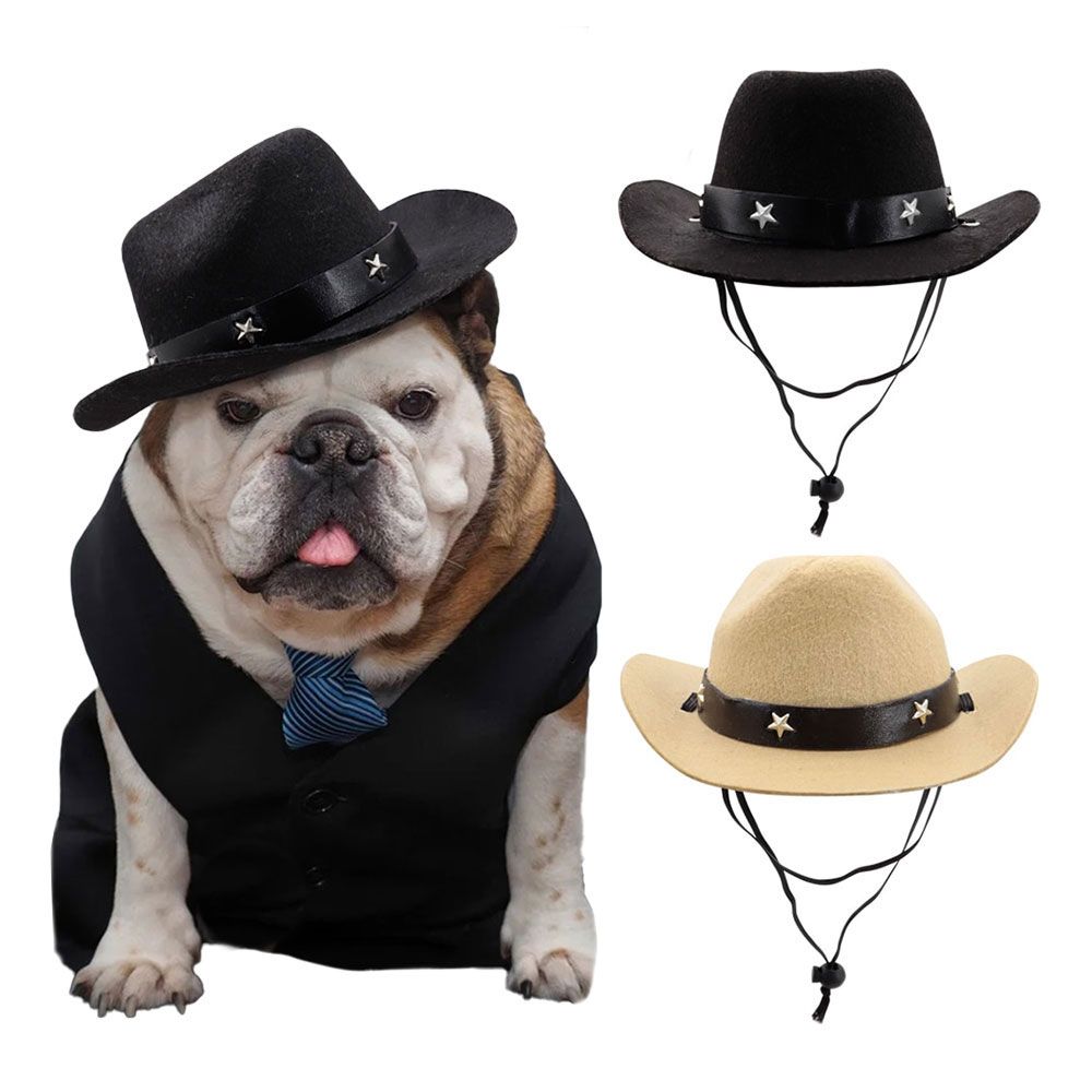 Cowboyhattu Koiralle