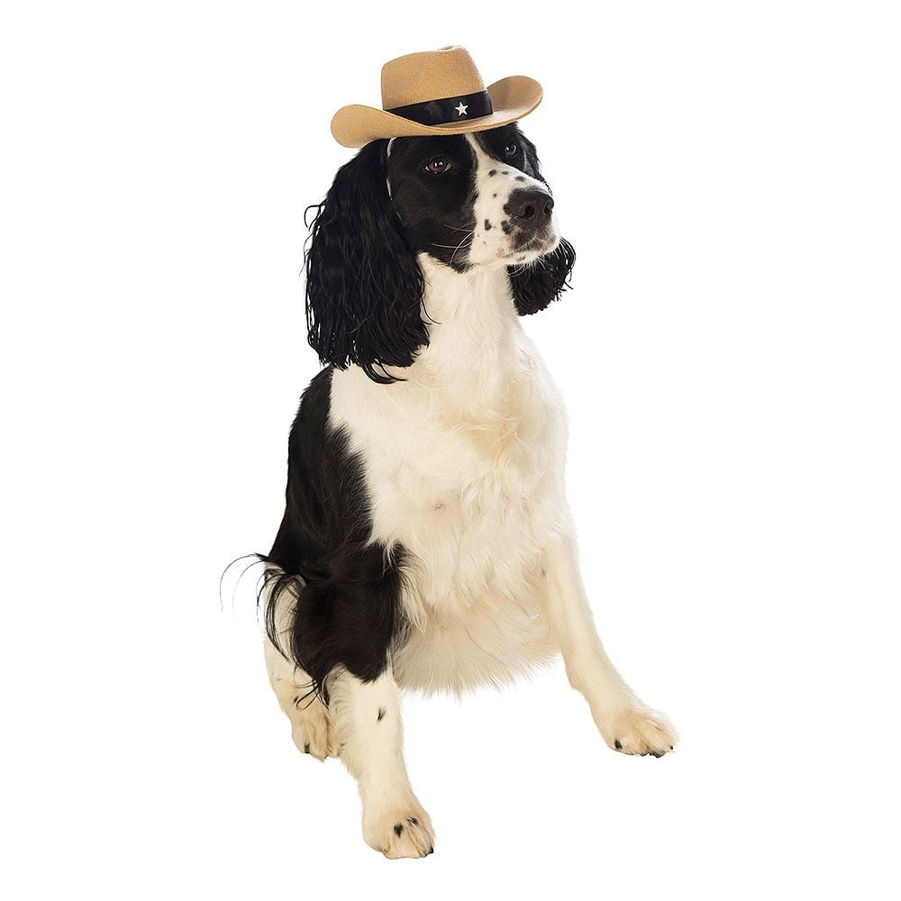 Cowboyhatt til Hunder