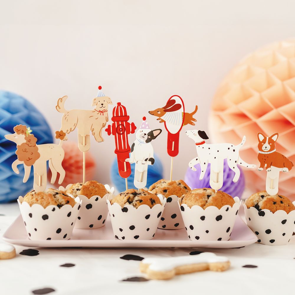 Cupcake Picks Koirat