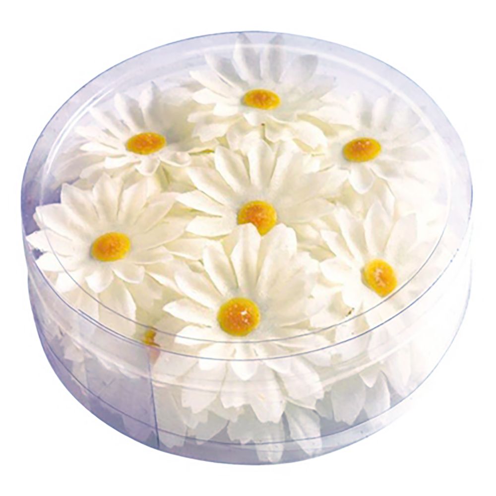 Dekorationsblommor Vita