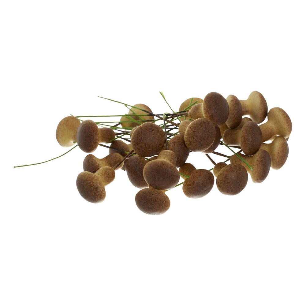 Koristesienet