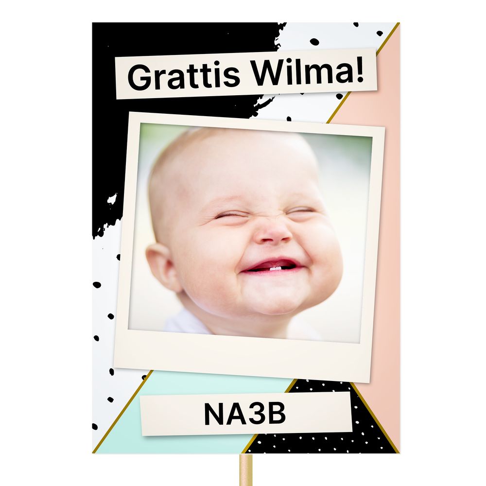 Designa Din Egen Studentskylt