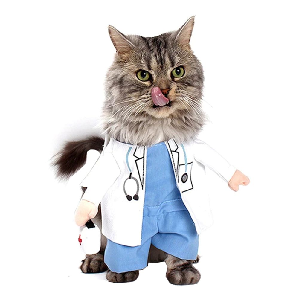 Doktor Maskeraddräkt för Katt/Hund