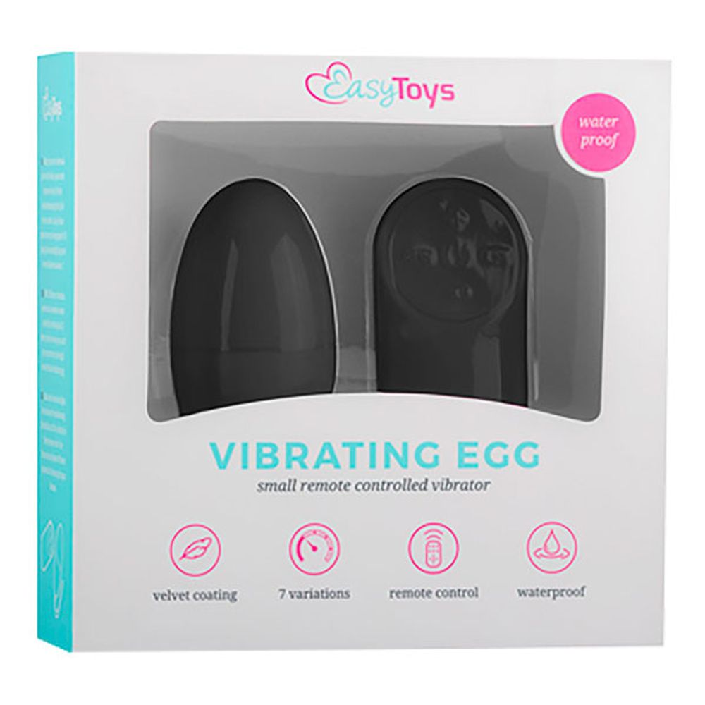 Easytoys Vibrerande Ägg med Fjärrkontroll