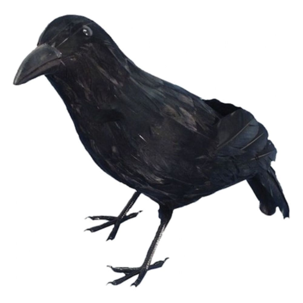 Sulkavaris