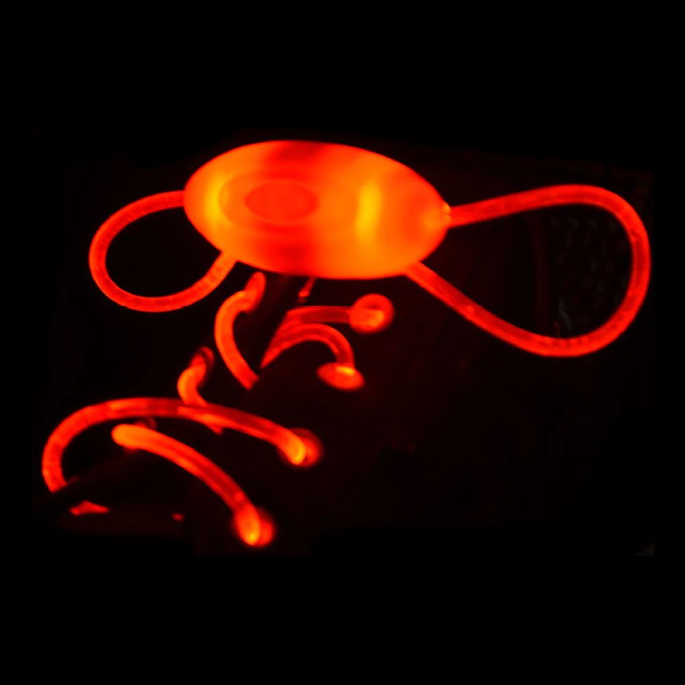 LED Skosnören