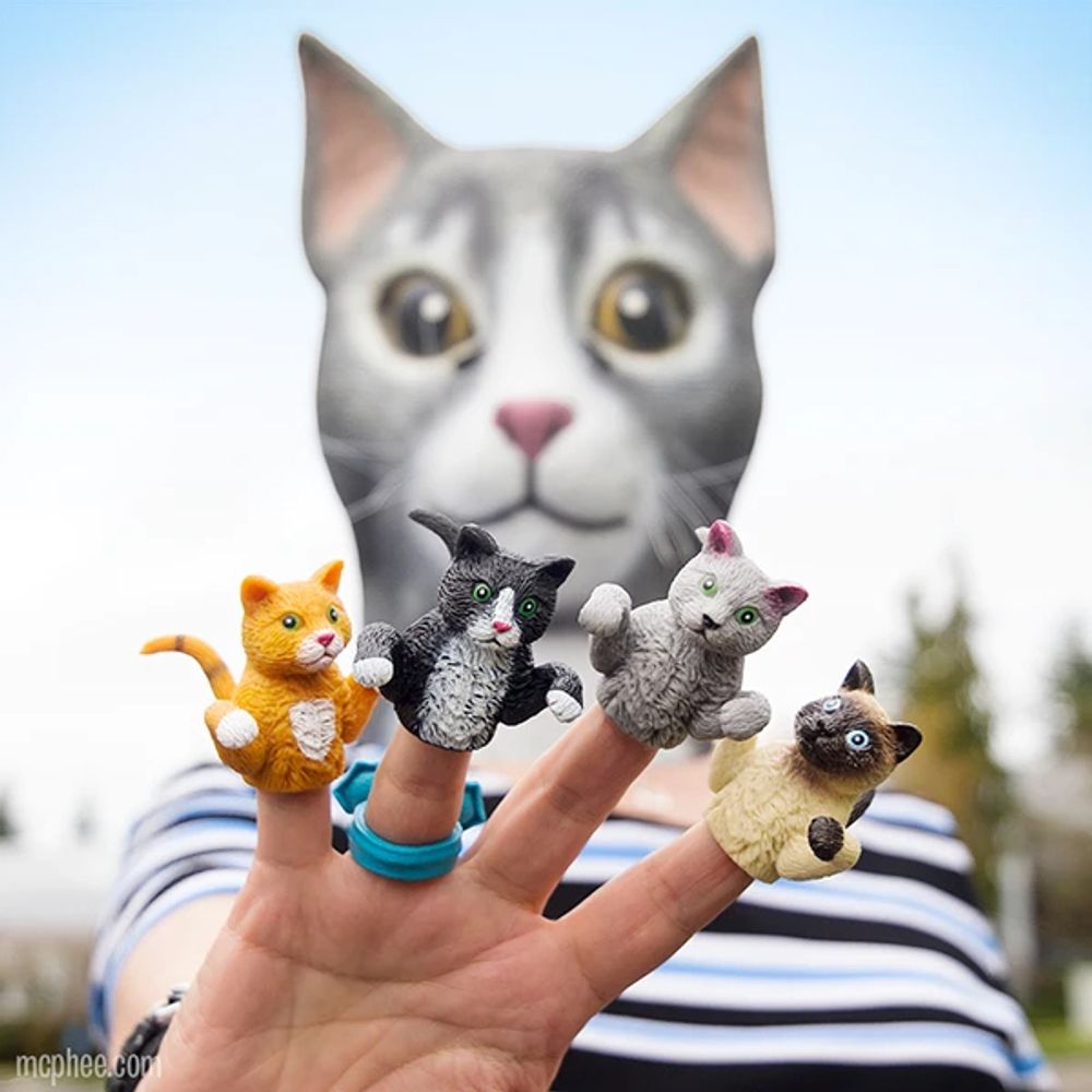 Sorminukke Kissa