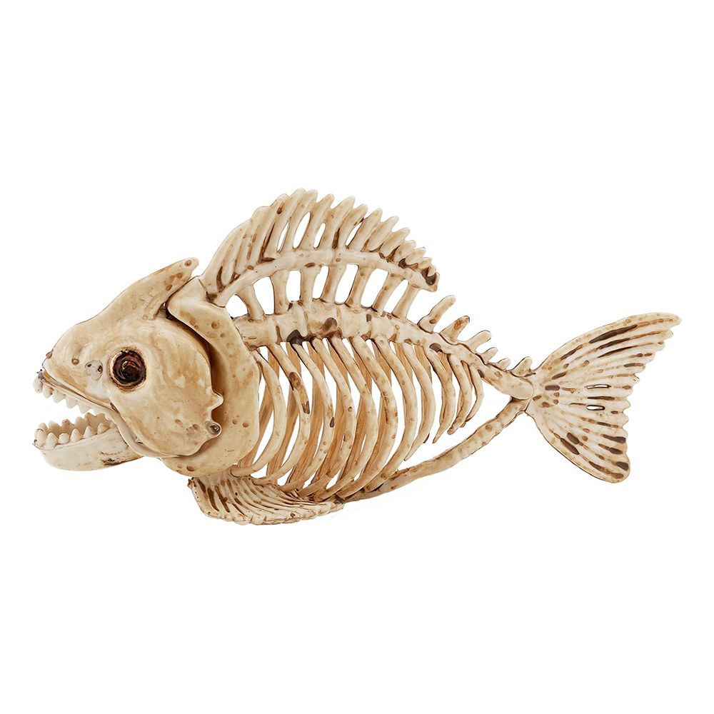 Fisk Skelet Rekvisit