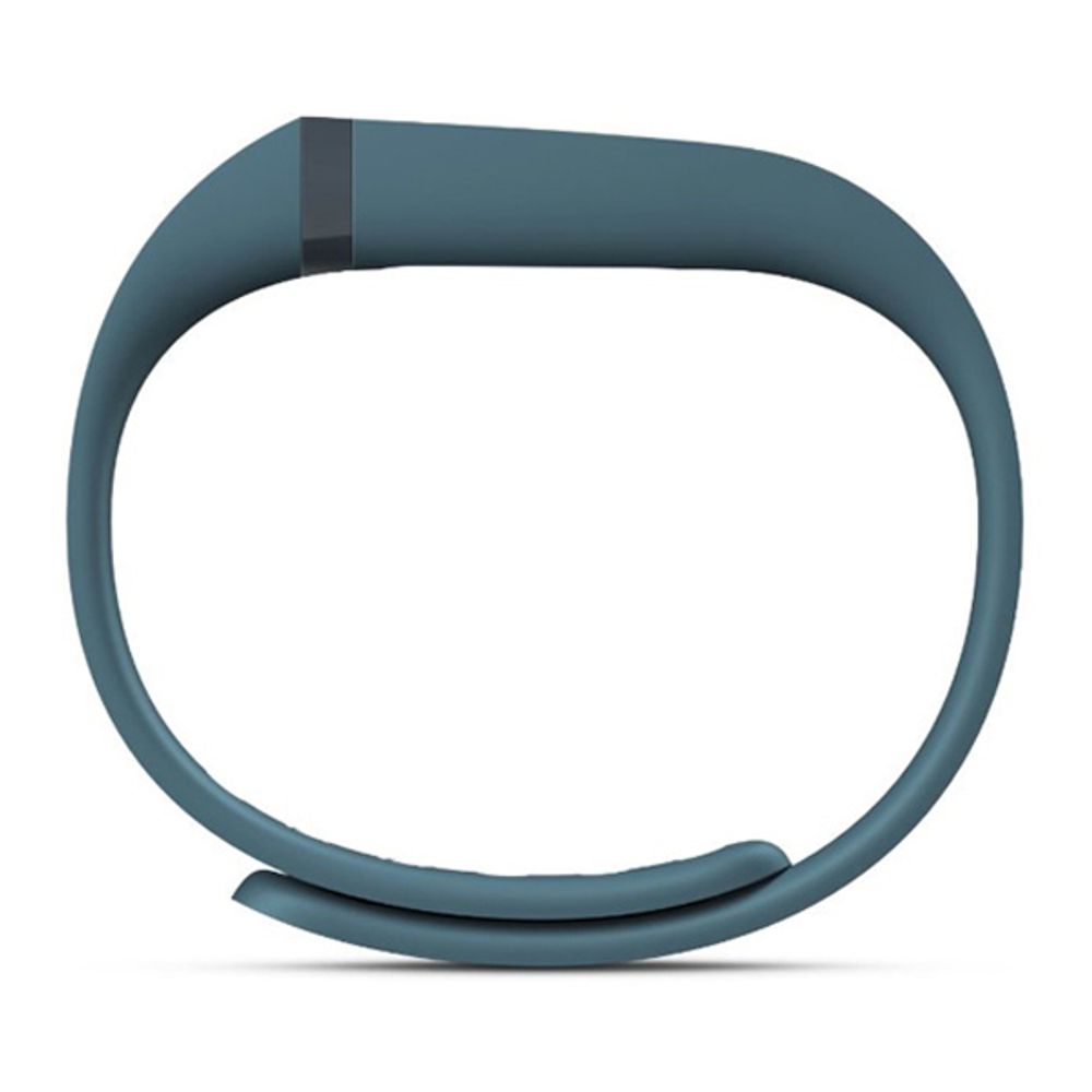 Fitbit Flex Armband