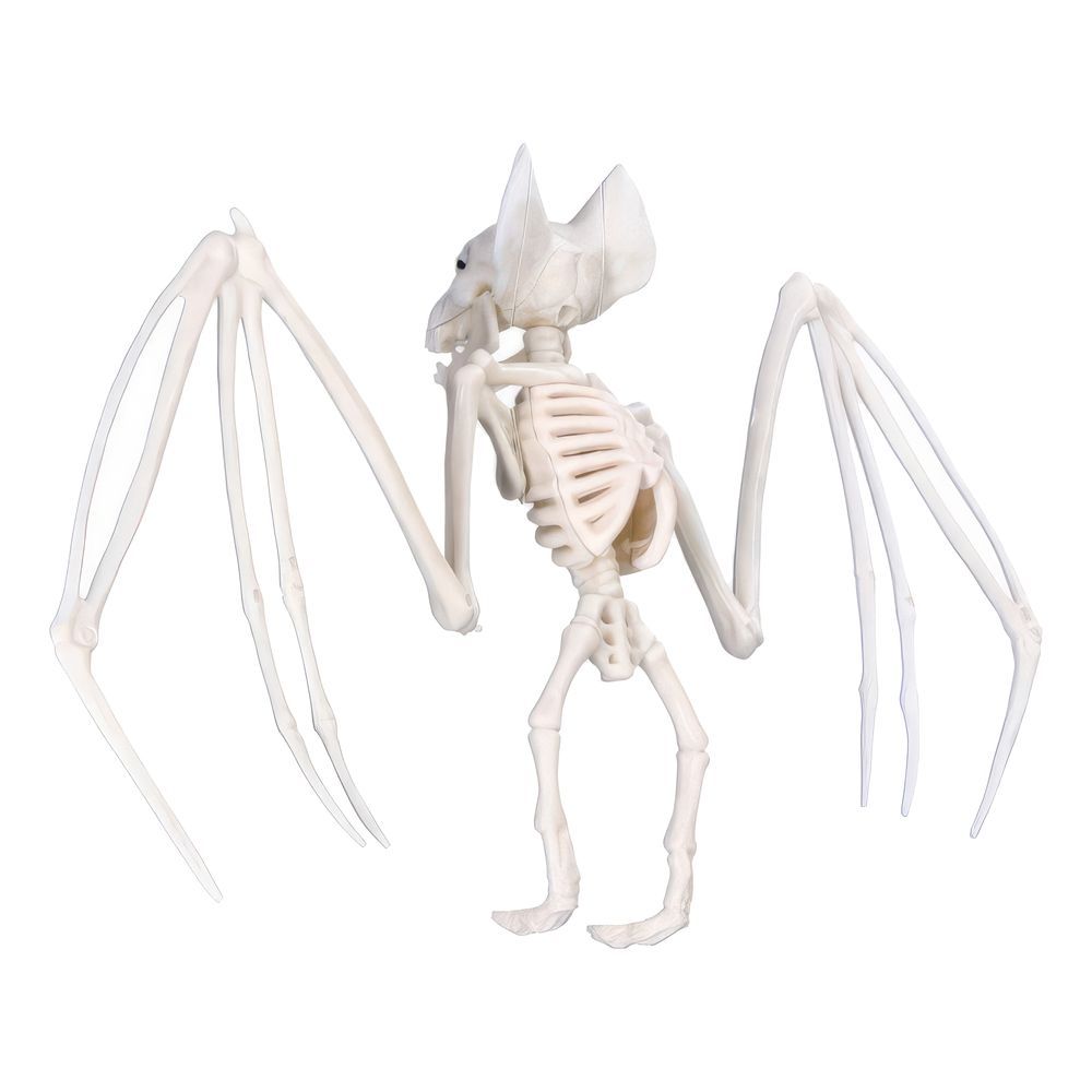 Fladdermus Skelett Prop