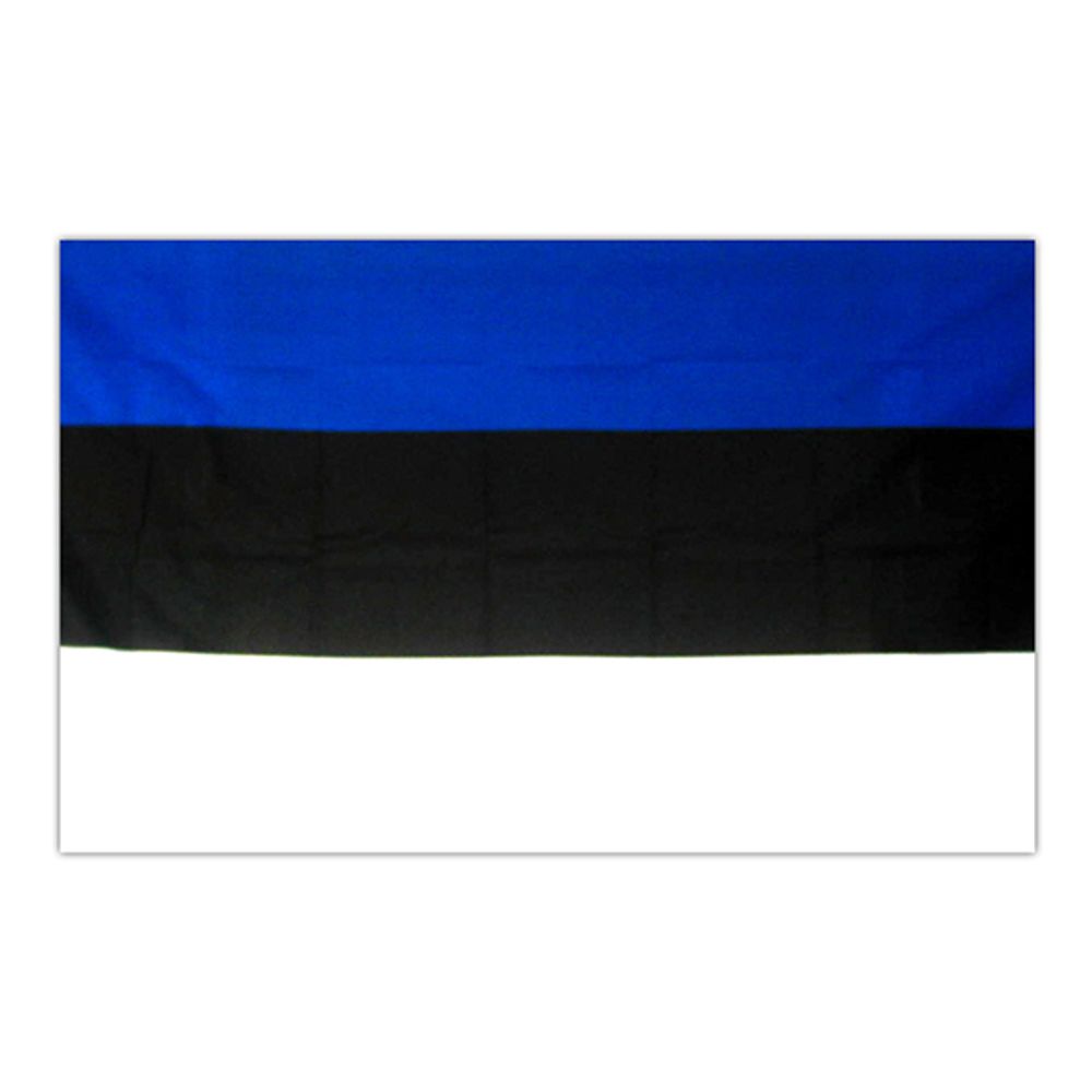 Flagg Estland