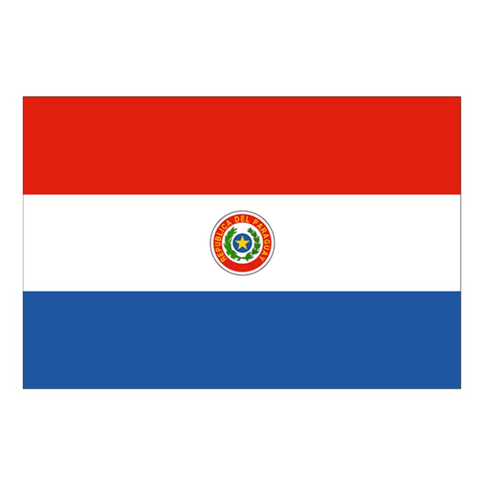 Flagg Paraguay