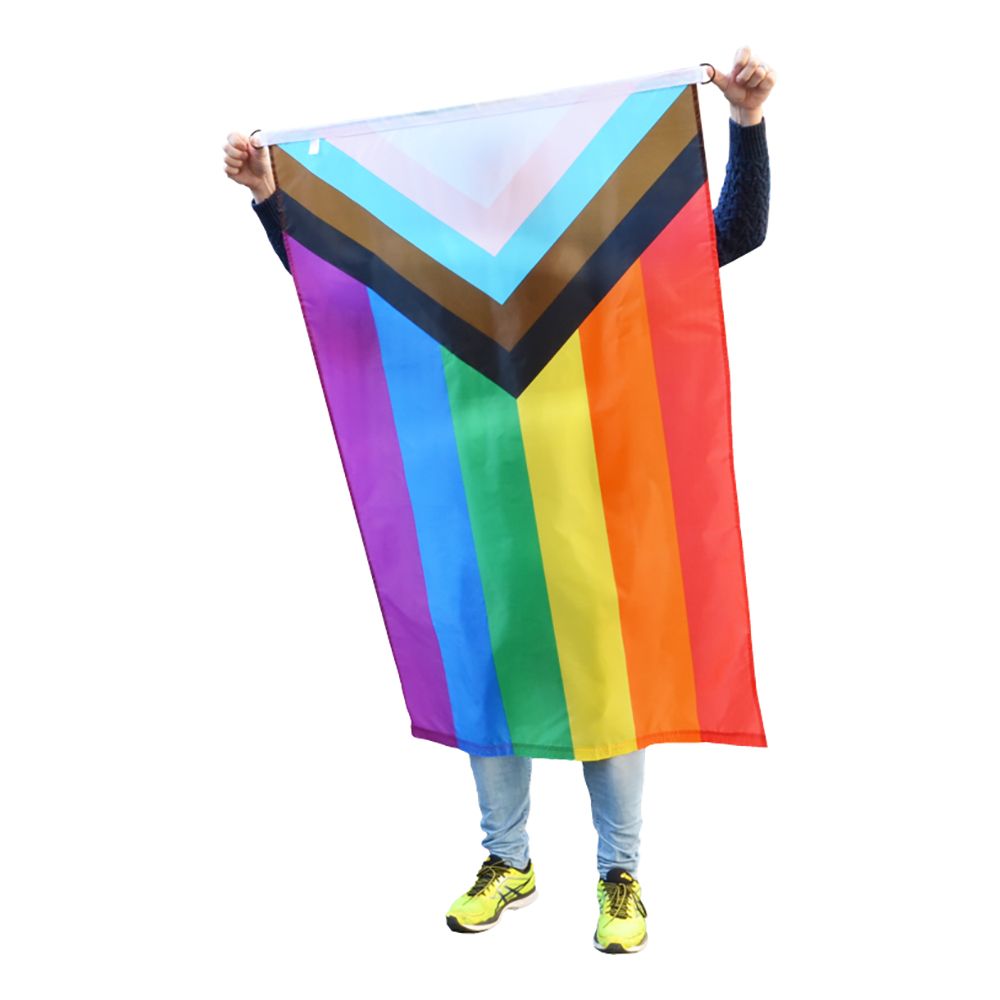 Flagg Progress Pride med D-hempe