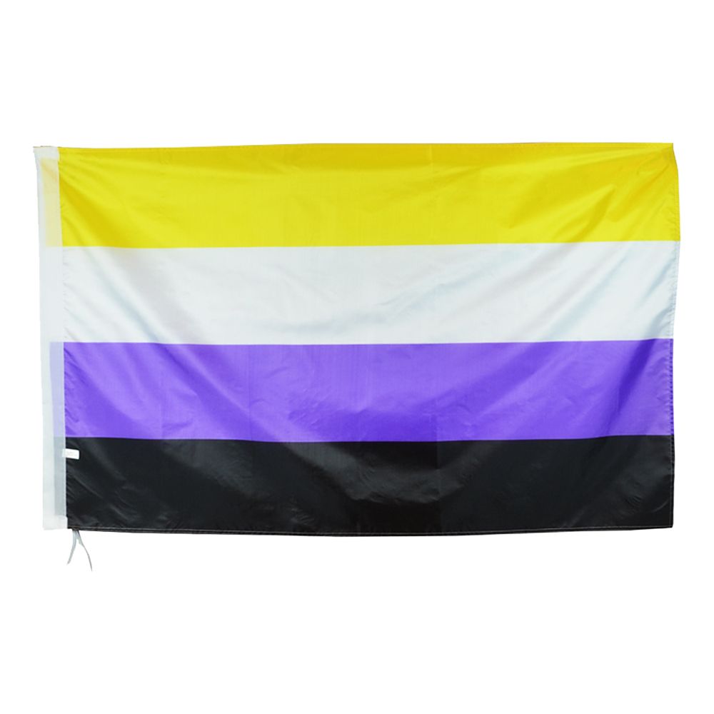Flagga XL Pride Ickebinär