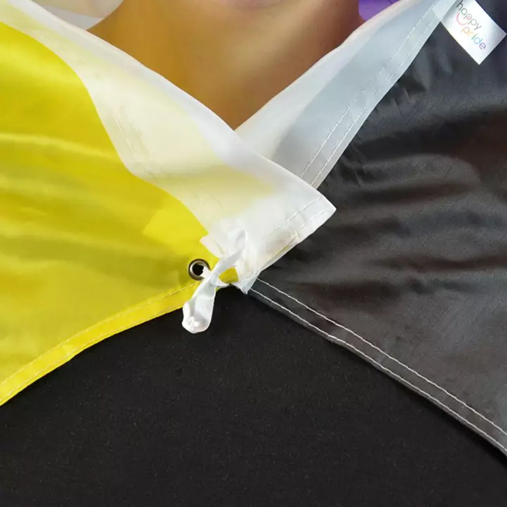 Flagga XL Pride Ickebinär