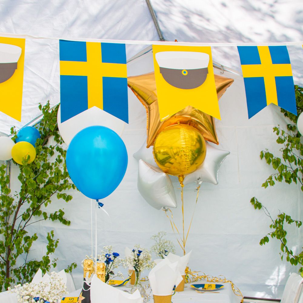 Vimpelguirlande Tillykke til Studenten